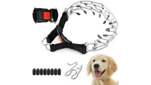 prong collar for adjustable dogs
